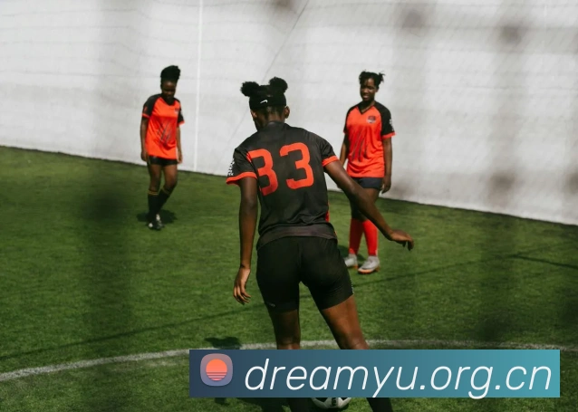 米兰app官网入口发展历程